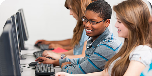 Support for Differentiated Instruction